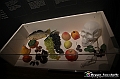 VBS_7763 - La canestra di Caravaggio